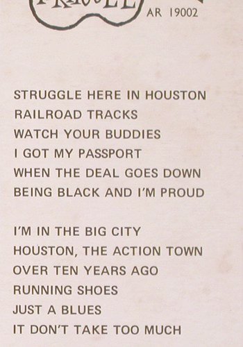 Juke Boy Bonner: The Struggle, Arhoolie(AR 19002), F, 1969 - LP - V499 - 20,00 Euro