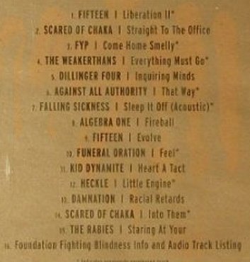 V.A.Take Action: Fifteen...Tha Rabies, 16 Tr., Subcity Rec.(SC001-2), US, 1999 - CD - 51619 - 10,00 Euro
