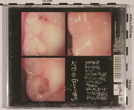 Seafood: Surviving The Quiet,+CD5", FiecePanda(), UK, 00 - 2CD - 67950 - 10,00 Euro