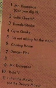 Beaten Awake: Thunderstroke, Digi, FS-New, Fat Possum (FP 1185-2), , 2009 Typ: CD Best.-Nr.: 80030 Preis: 10,00 Euro
