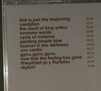 Gruff Rhys: Candylion, FS-New, RoughTrade(RTRADcd371), EU, 2006 - CD - 98215 - 10,00 Euro