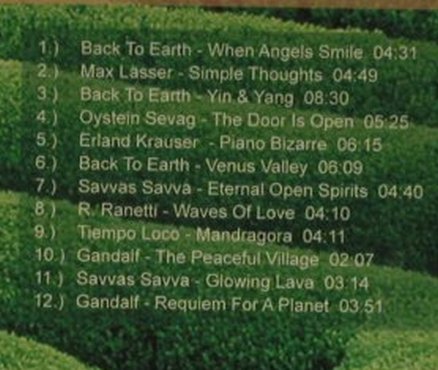 V.A.Elements For Easy Living: The Earth Collection, 12 Tr., Warner Music, EU, 2004 Typ: CD Best.-Nr.: 96518 Preis: 5,00 Euro