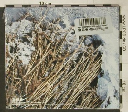 HECQ: scatterheart, Digi, FS-New, hymen rec(), , 2004 - CD - 92416 - 7,50 Euro