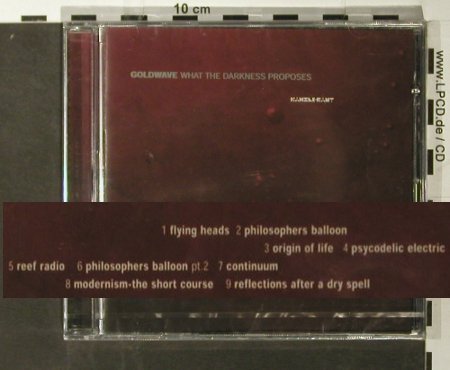 Goldwave: What the Darkness Proposes, FS-New, Kanzleramt(ka 41cd), D, 2004 - CD - 93580 - 10,00 Euro