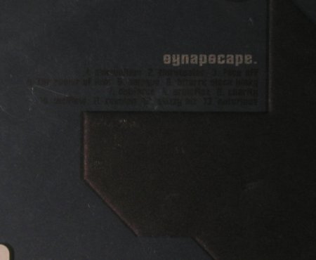 Synapscape: Positive Pop, FS-New, Nova-Ant Zen, , 2001 Typ: CD Best.-Nr.: 94923 Preis: 12,50 Euro