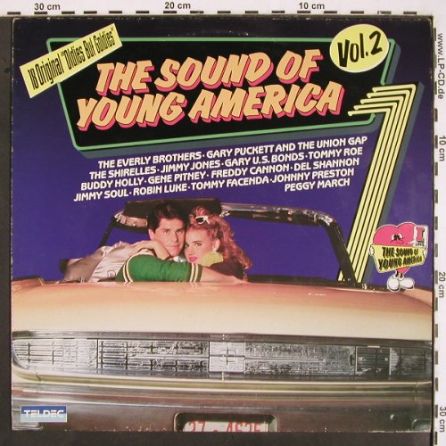 V.A.The Sound of Young Americans: Vol.2, Buddy Holly...Johnny Preston, Teldec(6.25021 AP), D, 1982 - LP - V2206 - 6,00 Euro