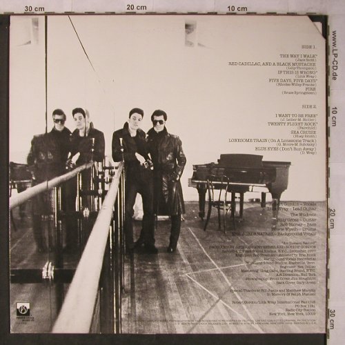 Gordon,Robert with Link Wray: Fresh Fish Special, Private Stock(PS 7008), US, CO, 1978 - LP - X5649 - 5,00 Euro