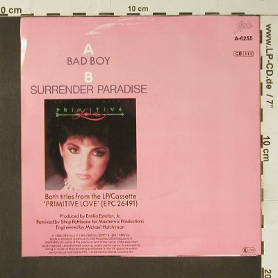 Estefan,Gloria: Bad Boy, Epic(A-6255), NL, 1985 - 7inch - S7472 - 2,50 Euro