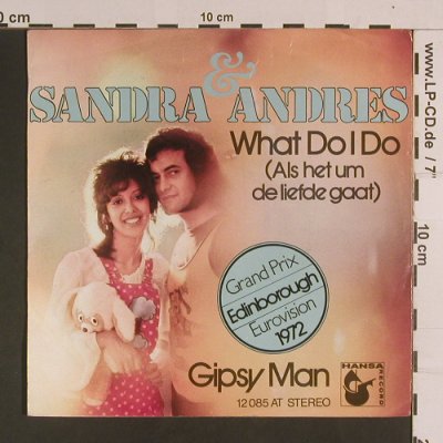 Sandra & Andres: What do I do(Als het um de liefde.., Hansa(12 085 AT), D, vg+/m-,  - 7inch - S8137 - 2,00 Euro