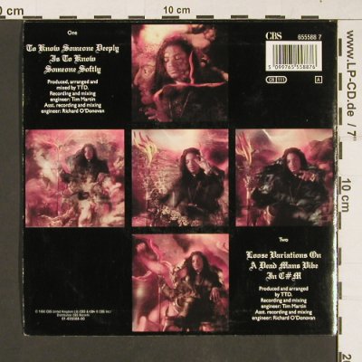 Terence Trent D'Arby: To know someone deeply is to..., CBS (655588 7), NL, 1990 Typ: 7" Best.-Nr.: S9202 Preis: 2,50 Euro