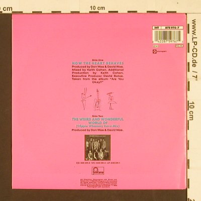 Was(Not Was): How the Heart Behaves, Fontana (875 976-7), D, 1990 Typ: 7" Best.-Nr.: S9319 Preis: 3,00 Euro