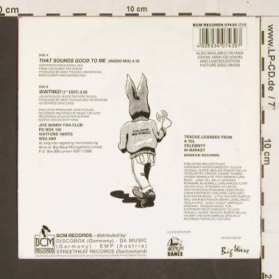 Jive Bunny & Mastermixers: That Sounds Good To Me, BCM (07430), D Typ: 7" Best.-Nr.: S9829 Preis: 2,00 Euro