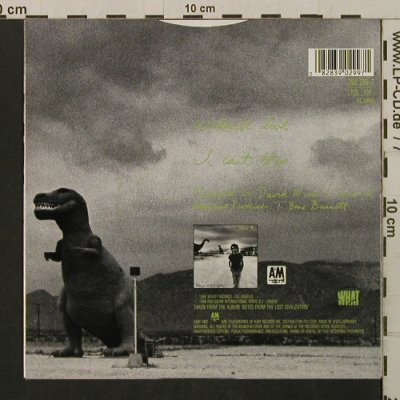 Tonio K.: Without Love / I Can't Stop, AM (390 299-7), D, 1988 Typ: 7" Best.-Nr.: T2108 Preis: 2,00 Euro