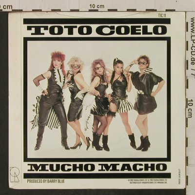 Toto Coelo: Dracula's Tango / Mucho Macho, Radialchoi(TIC 11), UK, 1982 - 7inch - T2267 - 1,50 Euro