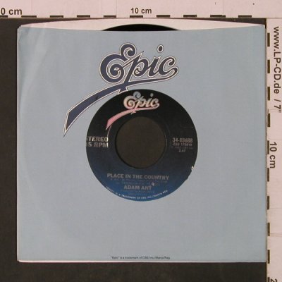 Ant,Adam: Desperate But Not Serious, FLC, Epic/Promo-Stol(34-03688), US, 1982 - 7inch - T2493 - 3,00 Euro