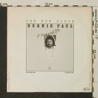 Paul,Bernie: Night After Night / Hot Line, Ariola(103 660), D, 1981 - 7inch - T3074 - 2,00 Euro