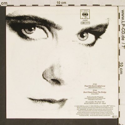 Moyet, Alison: That Ole Devil Called Love, CBS(6044), UK, 1985 - 7inch - T480 - 2,00 Euro