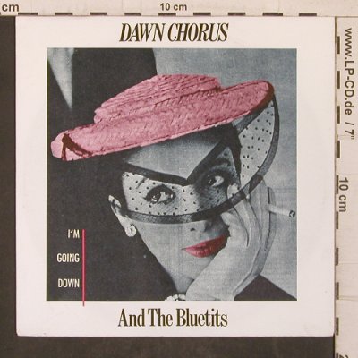 Dawn Chorus and theBluetis: I'm Going Down, Stiff (6.14518 AC), D, 1985 Typ: 7" Best.-Nr.: T5704 Preis: 6,00 Euro