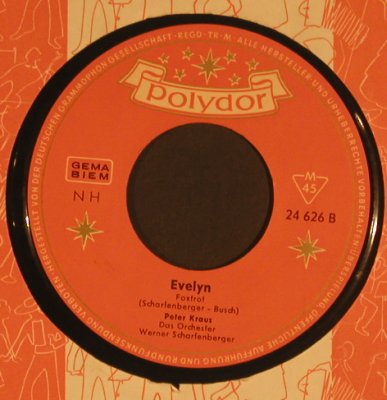 Kraus,Peter: Schwarze Rose,Rosemarie, FLC, Polydor(24 626), D,  - 7inch - S7828 - 2,50 Euro