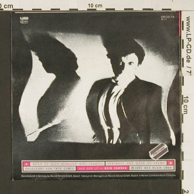 Engelbrecht: Wenn es dich wirklich gibt, WEA (249 132-7), D, 1985 Typ: 7" Best.-Nr.: S9008 Preis: 3,00 Euro
