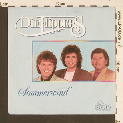 Flippers: Sommerwind / Ich glaub' an dich, Dino (S 139), D, 1989 Typ: 7" Best.-Nr.: S9355 Preis: 2,50 Euro