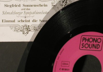 Sonnenschein,Siegfried & Schmalzb..: Ich bin immer noch ein großer Star, Phono Sound(850801), D,  - 7inch - S9388 - 5,00 Euro