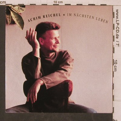 Reichel,Achim: Im nächsten Leben, WEA(4509-95404-7), D, 1994 - 7inch - T5746 - 10,00 Euro
