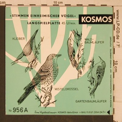 Stimmen einheimischer Vögel: Spechte, Kosmos (956a), D Typ: EP Best.-Nr.: T5400 Preis: 3,00 Euro