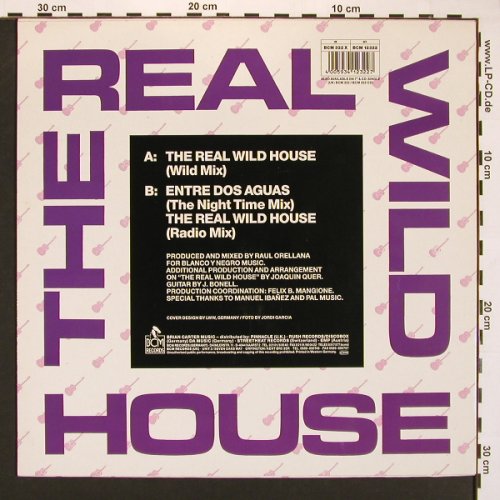 Orellana,Raul: The Real Wild House*2+1, BCM(), D,  - 12inch - A2284 - 3,00 Euro