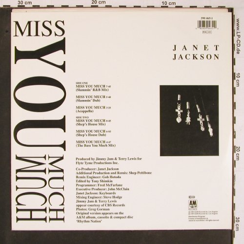 Jackson,Janet: Miss You Much*6, AM (390 465-1), D, 1989 Typ: 12" Best.-Nr.: C5919 Preis: 1,00 Euro