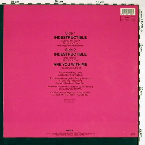 Four Tops: Indestructable*2 / Are you with me, Arista (611 510), D, 1988 Typ: 12" Best.-Nr.: C6079 Preis: 1,00 Euro