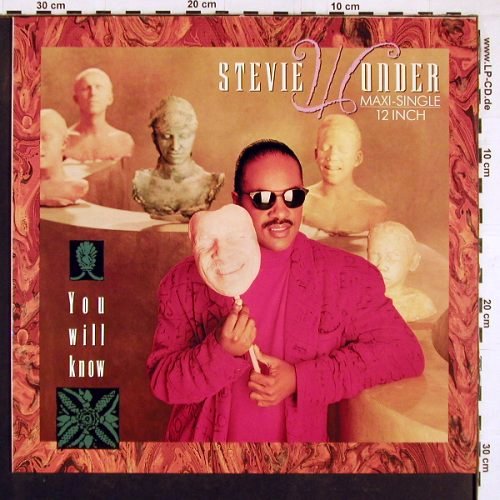 Wonder,Stevie: You Will Know*3, Motown (ZT 41724), D, 1987 Typ: 12" Best.-Nr.: C9503 Preis: 1,00 Euro