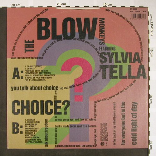 Blow Monkeys feat Sylvia Tella: Choices? rmx *4, RCA(PT 42958), UK, 1989 - 12inch - H1610 - 4,00 Euro