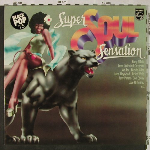 V.A.Super Soul Sensation: Joe Tex,Barry White,RoyC, Foc, Philips(6612 048), D, 23 Tr., 1975 - 2LP - H4768 - 7,50 Euro