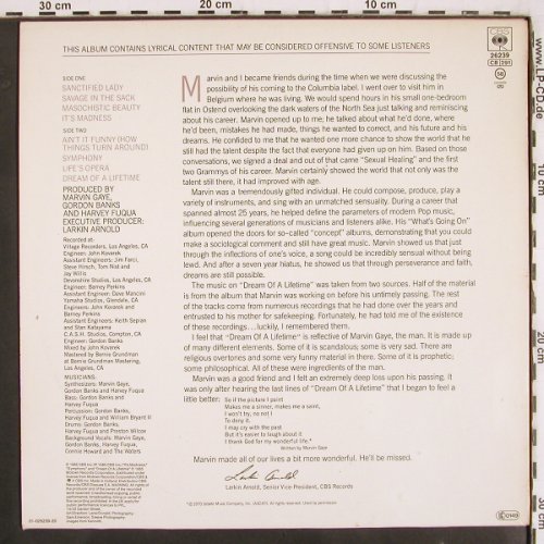 Gaye,Marvin: Dream Of A Lifetime, CBS (26 239), NL, 1985 Typ: LP Best.-Nr.: V3487 Preis: 6,00 Euro