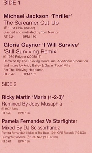 V.A.Hit Mixes 201/3: M.Jackson,GloriaGaynor,R.Martin, DMC (DMC 201/3), UK, 1999 Typ: 12" Best.-Nr.: V3518 Preis: 12,50 Euro