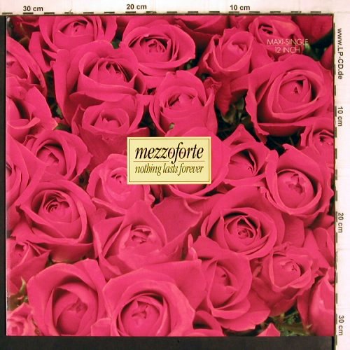 Mezzoforte: Nothing Lasts Forever *2 /Joyride, RCA (PT 40980), D, 1986 Typ: 12" Best.-Nr.: V972 Preis: 3,00 Euro