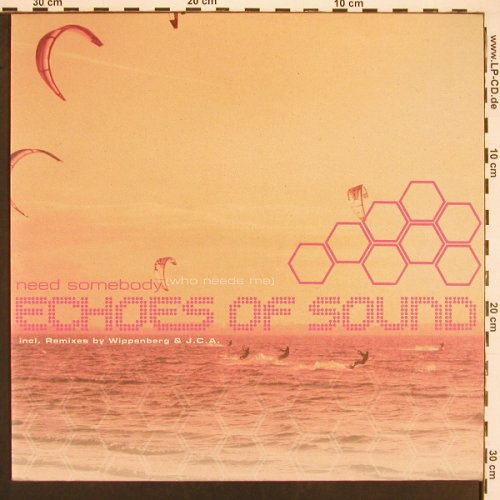 Echoes Of Sound: Need Sombody(Who Needs Me)*4, Club Culture(5050466-1090-02), D, 2002 - 12inch - X9631 - 4,00 Euro