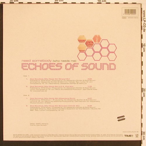 Echoes Of Sound: Need Sombody(Who Needs Me)*4, Club Culture(5050466-1090-02), D, 2002 - 12inch - X9631 - 4,00 Euro