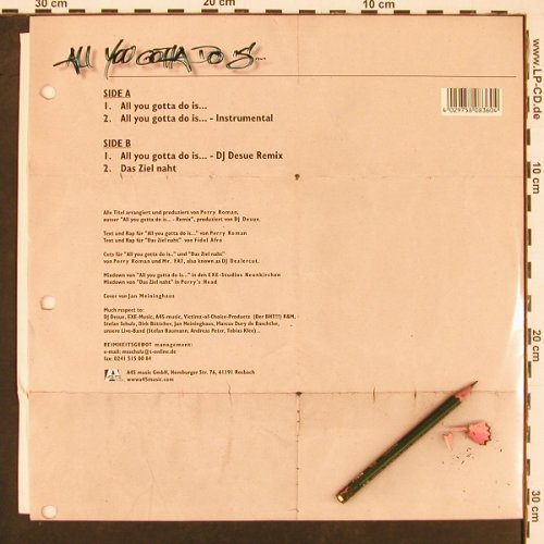 Reimheitsgebot: All You Gotta Do's...*3+1, A45 (0108360A45), D, 2000 Typ: 12" Best.-Nr.: X9665 Preis: 4,00 Euro