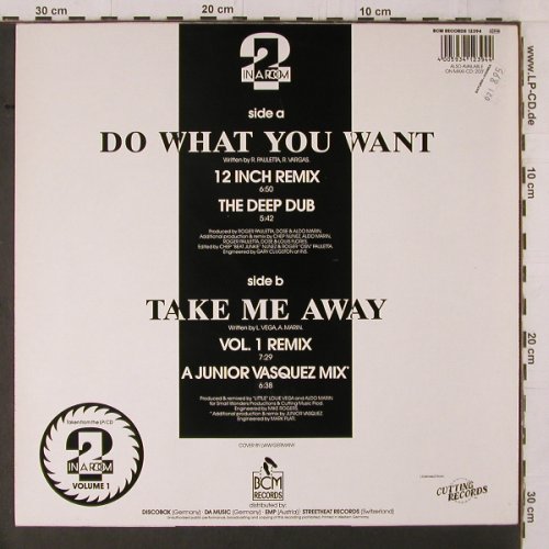 2 In A Room: Do Wat You Want*2 / Take me away*2, BCM(12394), D,vg+/m-, 1990 - 12inch - Y1829 - 4,00 Euro