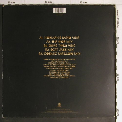Master Wel: When I Was A Sperm,5 Tr., Fourth & Broadway (12BRW316/854229), UK, 1995 Typ: 12" Best.-Nr.: Y2528 Preis: 5,00 Euro