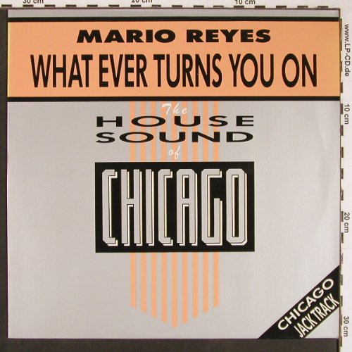 Reyes,Mario: What Ever Turns You On*2, DJ International(D.J. 12-1010-40), D,  - 12inch - Y325 - 5,00 Euro