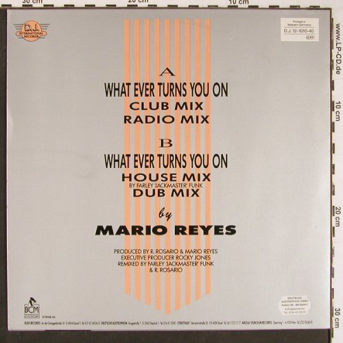 Reyes,Mario: What Ever Turns You On*2, DJ International (D.J. 12-1010-40), D Typ: 12" Best.-Nr.: Y325 Preis: 5,00 Euro