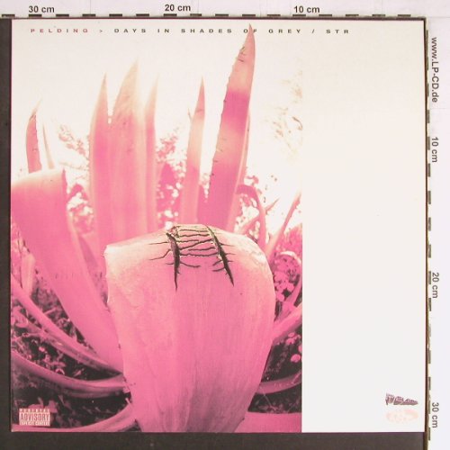 Pelding: Days In Shades Of Grey+7, Jazz Fudge (JFR 023), UK, 2000 Typ: 12" Best.-Nr.: Y3465 Preis: 3,00 Euro