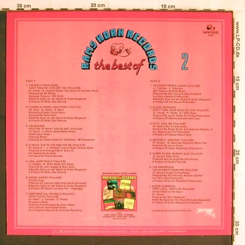 V.A.The Best Of Rams Horn Records: 2, BoysTownGang...Boots Clements, Ramshorn (5040), NL, 1982 Typ: LP Best.-Nr.: Y6228 Preis: 6,00 Euro