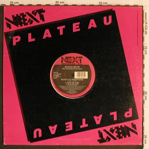 Sugar Bear: Don't scandalize me/Ready to penetr, Next Plateau(NP 50085), US, FLC, 1988 - 12inch - Y6289 - 6,00 Euro