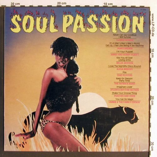 V.A.Soul Passion: James Brown..Gloria Gaynor, m /vg+, Contour (CN 2055), UK, 1982 Typ: LP Best.-Nr.: Y6675 Preis: 6,00 Euro