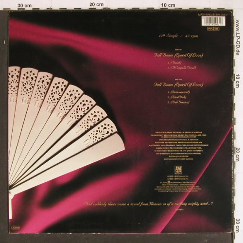 Tramaine: Fall Down*5, AM (392 055-1), D, 1985 Typ: 12" Best.-Nr.: Y7853 Preis: 3,00 Euro