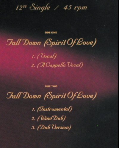 Tramaine: Fall Down*5, AM (392 055-1), D, 1985 Typ: 12" Best.-Nr.: Y7853 Preis: 3,00 Euro